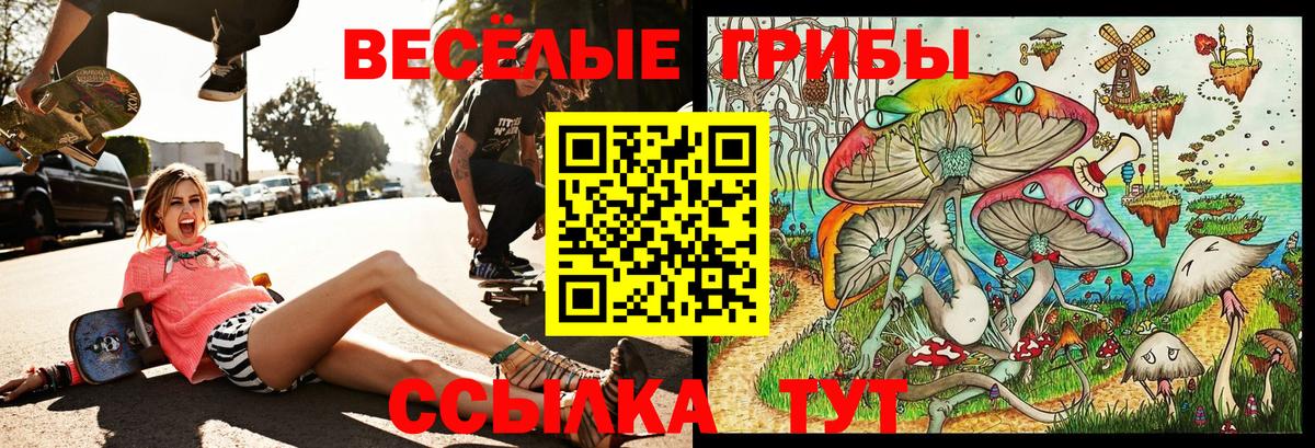 Новороссийск  Псилоцибиновые грибы ЛСД  Вход с VPN 
