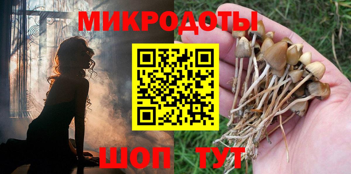 Галлюциногенные грибы Magic Shrooms Новороссийск